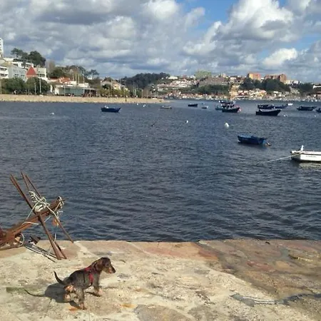 River & Ocean View