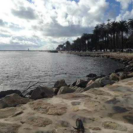 Apartman River & Ocean View