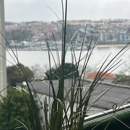 River & Ocean View